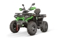Preview: NITRO MOTORS 230cc maxi Quad Tricia CVT RS10 Platin inkl. Seilwinde